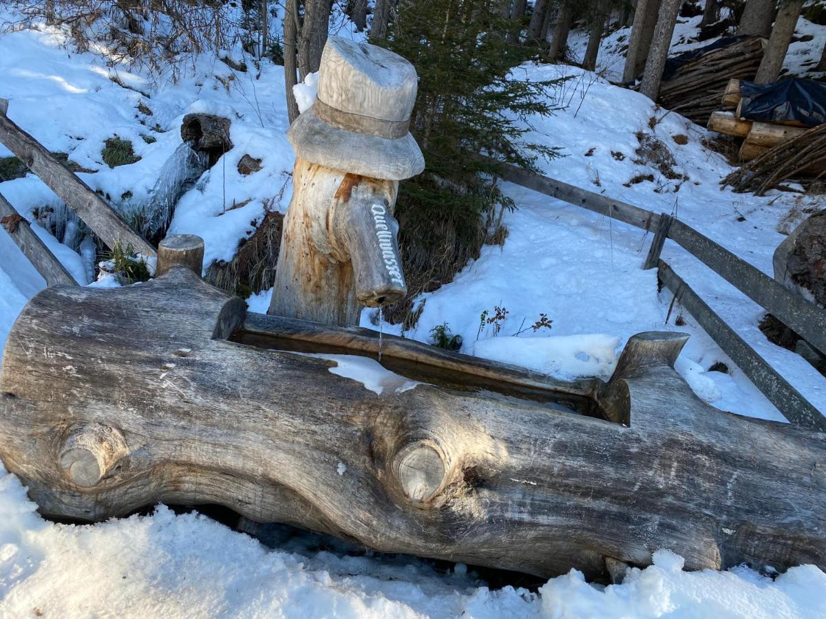Apartmán 4 Personen Alleinlage Am Wald Naehe Skigebiet Hochzeiger